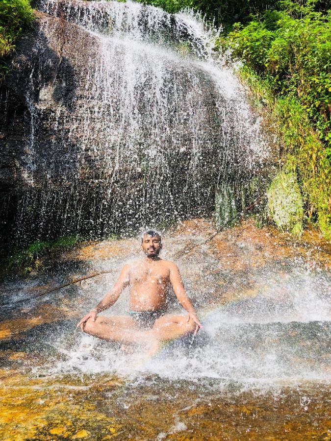 Forest Shade Eco Resort Deraniyagala المظهر الخارجي الصورة
