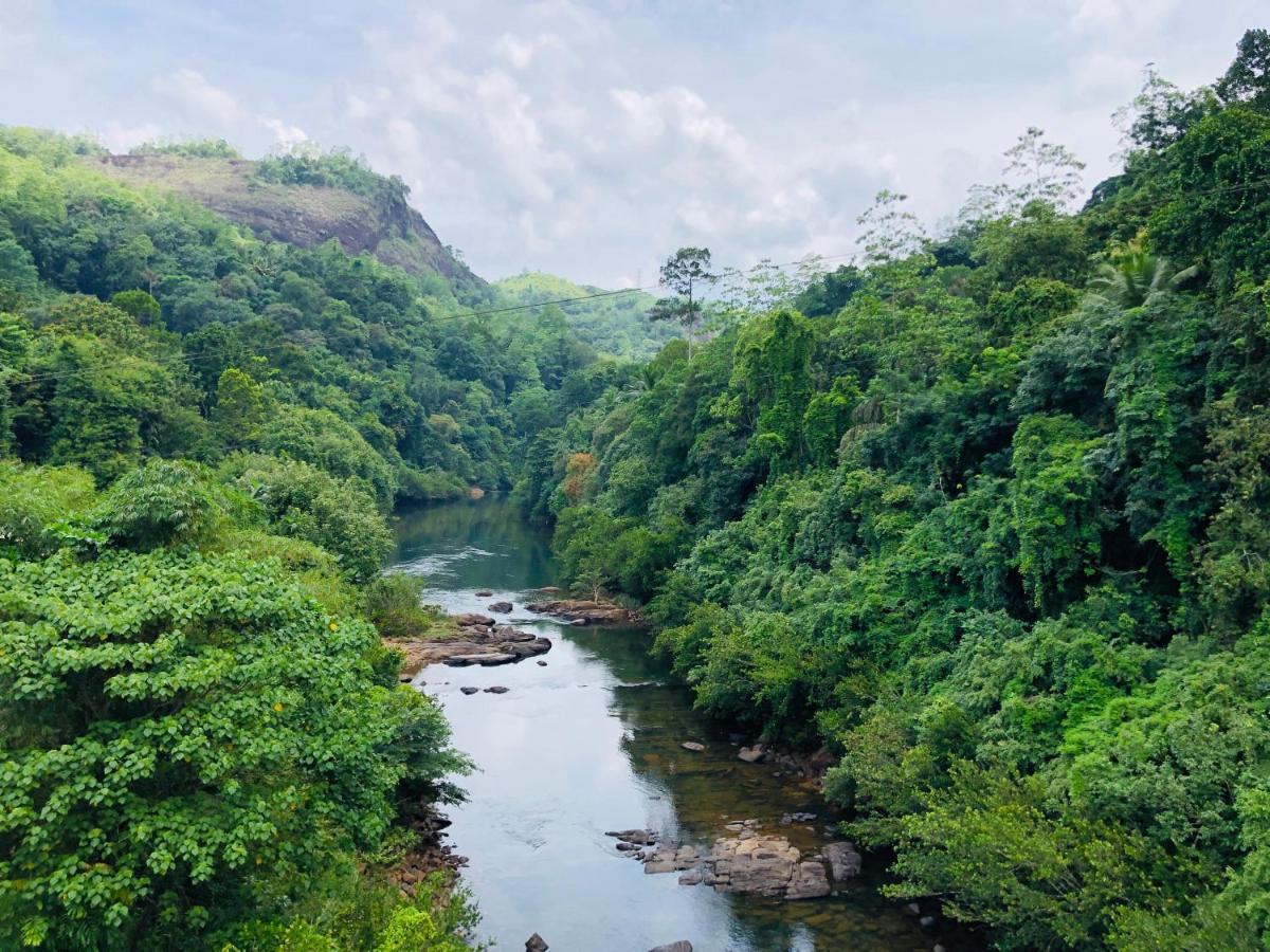 Forest Shade Eco Resort Deraniyagala المظهر الخارجي الصورة