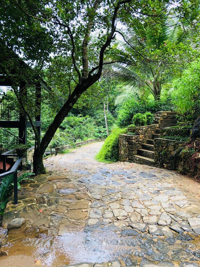 Forest Shade Eco Resort Deraniyagala المظهر الخارجي الصورة