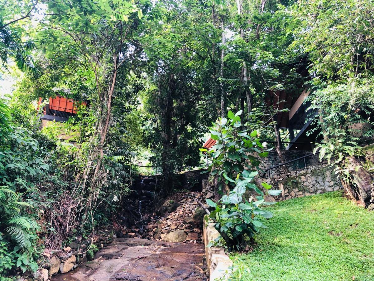 Forest Shade Eco Resort Deraniyagala المظهر الخارجي الصورة