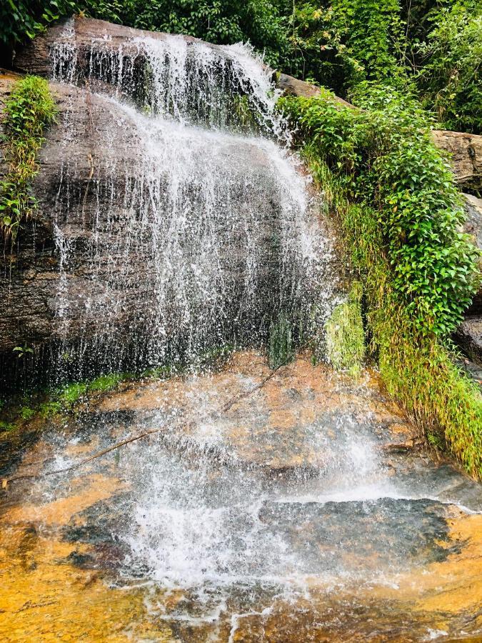 Forest Shade Eco Resort Deraniyagala المظهر الخارجي الصورة