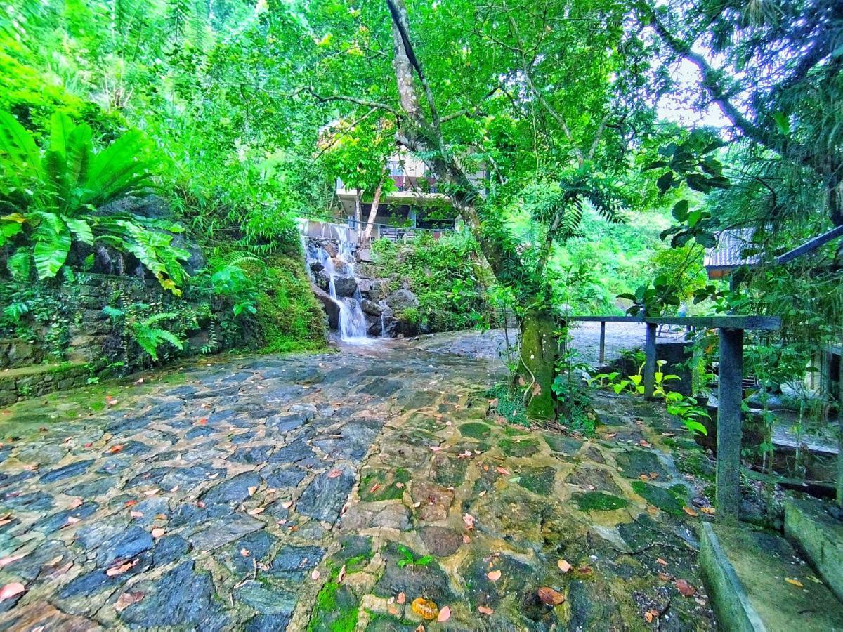 Forest Shade Eco Resort Deraniyagala المظهر الخارجي الصورة
