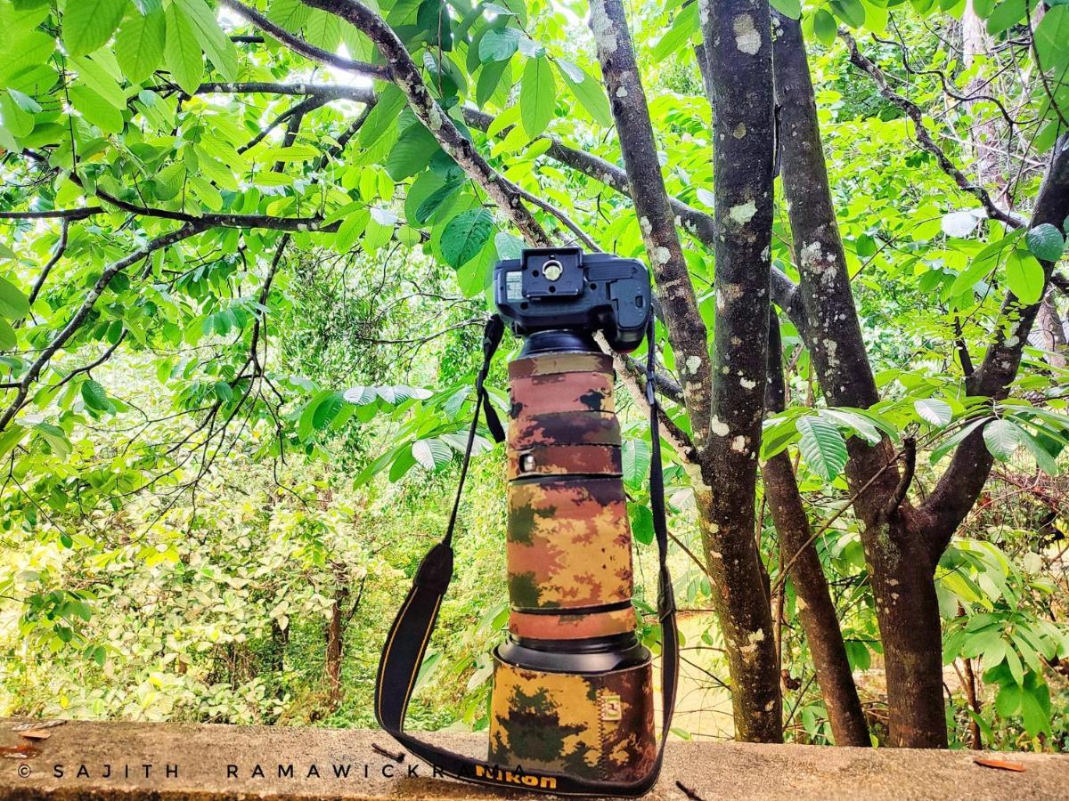 Forest Shade Eco Resort Deraniyagala المظهر الخارجي الصورة