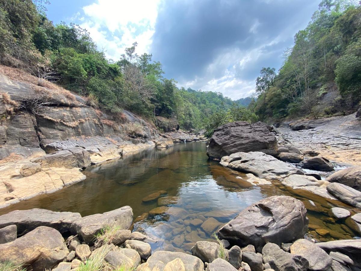 Forest Shade Eco Resort Deraniyagala المظهر الخارجي الصورة