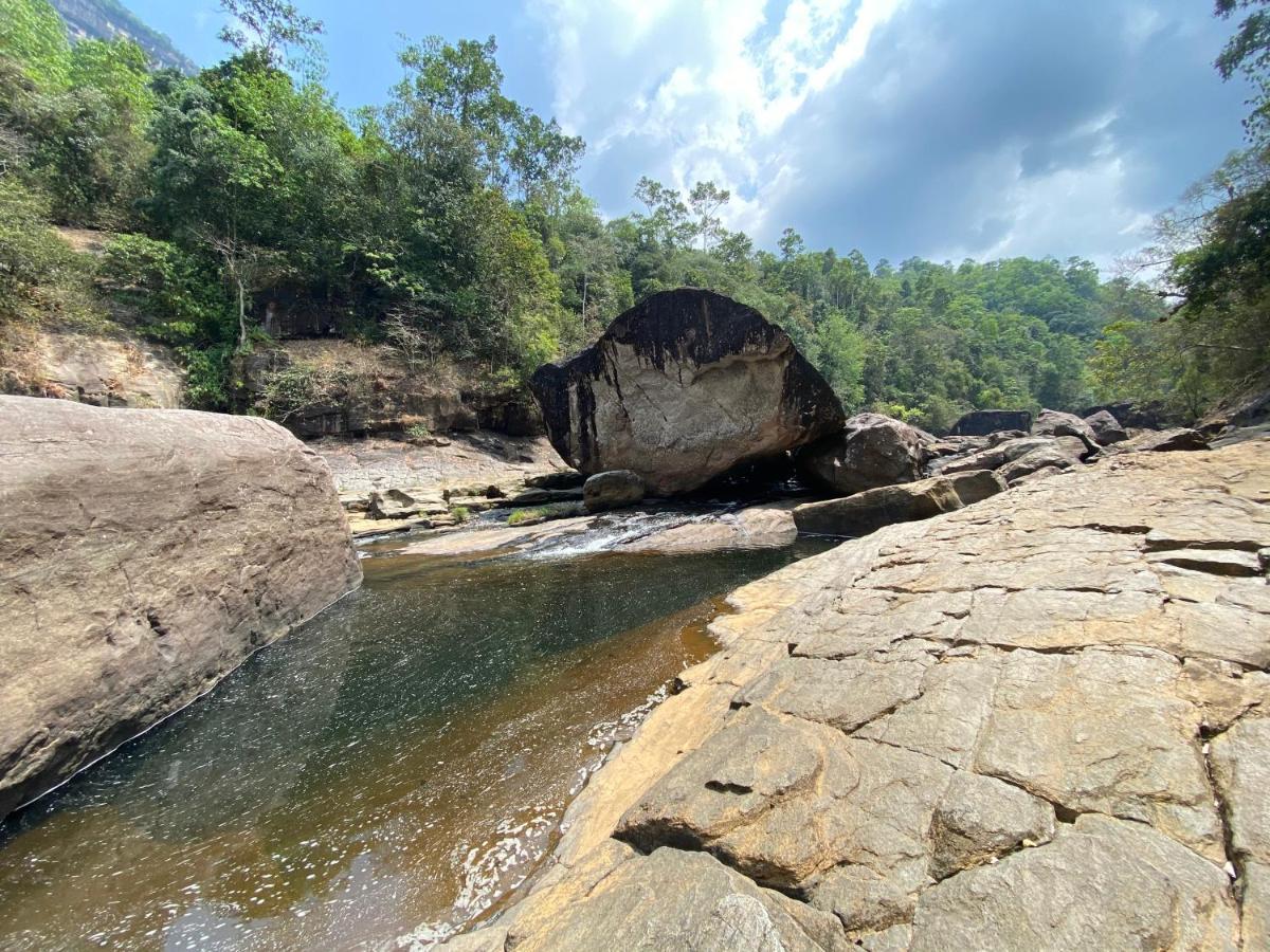 Forest Shade Eco Resort Deraniyagala المظهر الخارجي الصورة