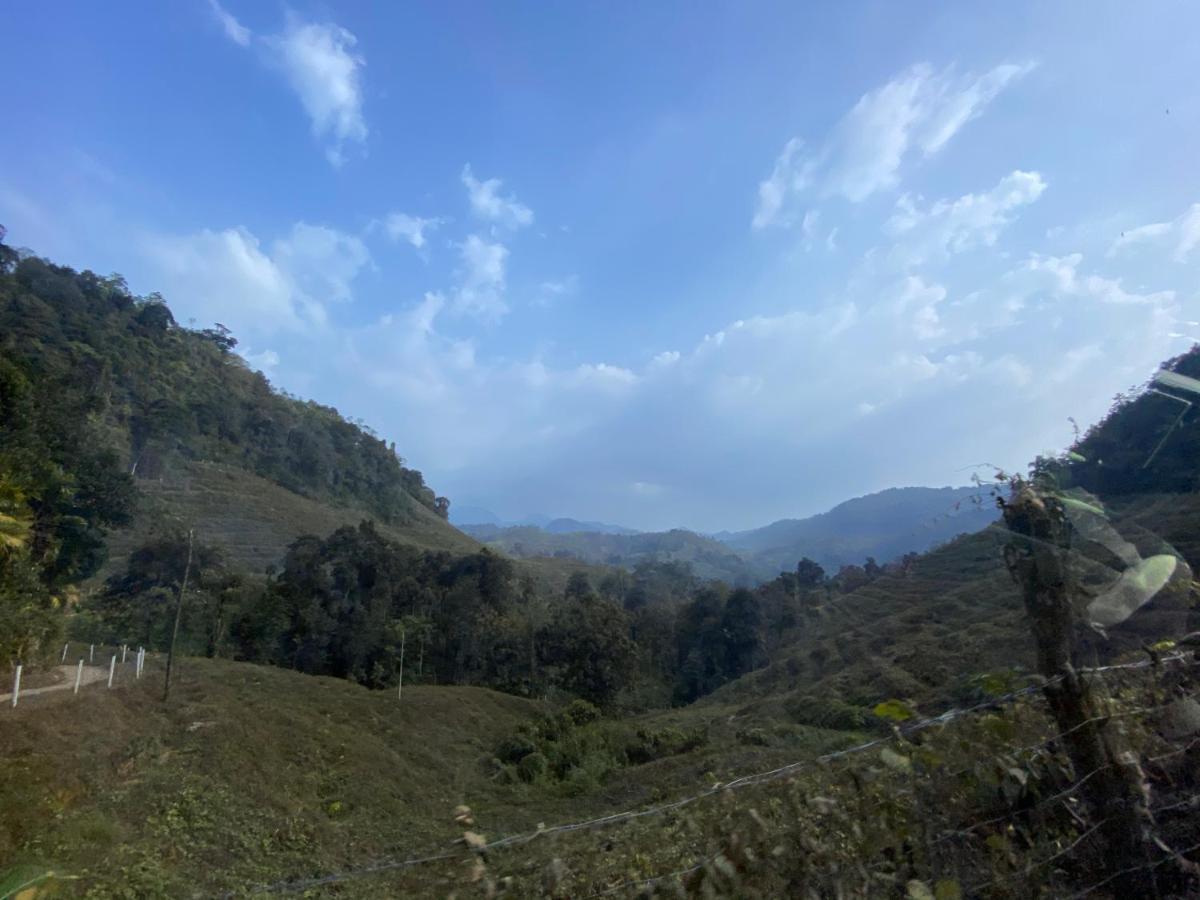 Forest Shade Eco Resort Deraniyagala المظهر الخارجي الصورة